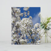 Bradford Pear Blooms (Standing Front)