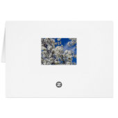 Bradford Pear Blooms (Back Horizontal)