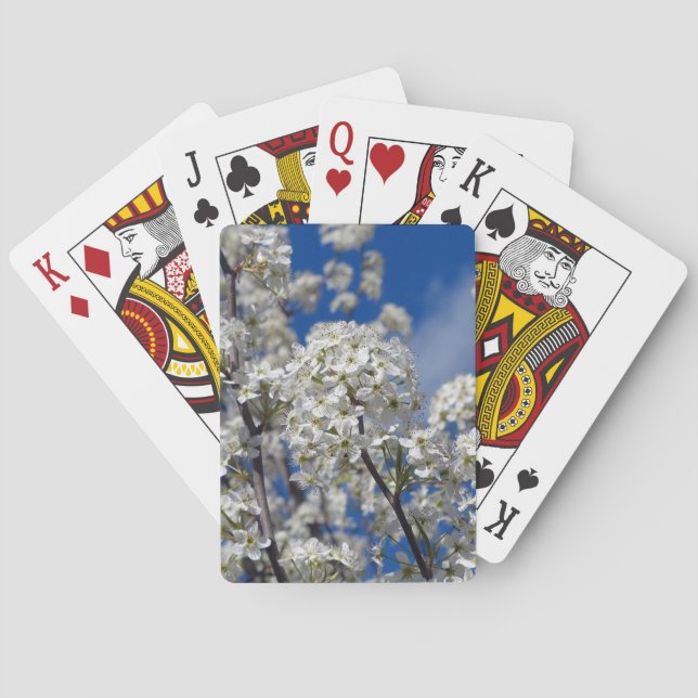 Bradford Pear Blooms Poker Cards (Back)