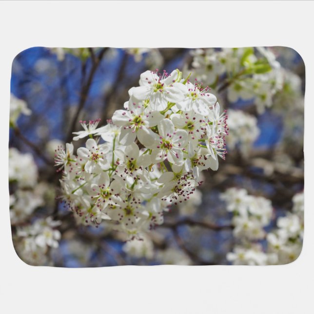 Bradford Pear Blooms Swaddle Blanket (Horizontal)