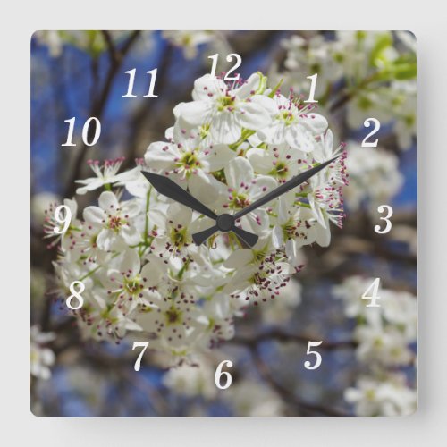 Bradford Pear Blooms Wall Clock