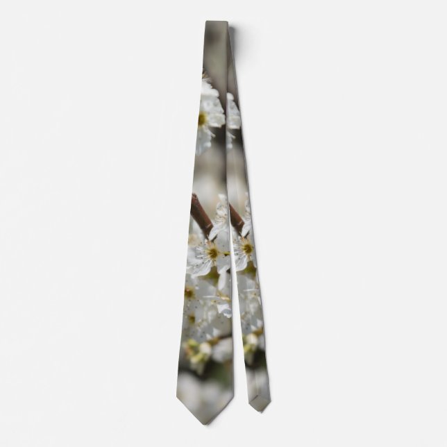 Bradford Select Focus Tie (Front)