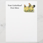 Brahma Buff Pair (Front)