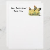 Brahma Buff Pair (Front/Back)