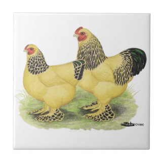 Brahma Buff Pair Ceramic Tile