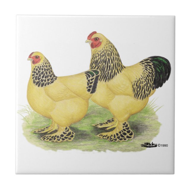 Brahma Buff Pair Ceramic Tile (Front)