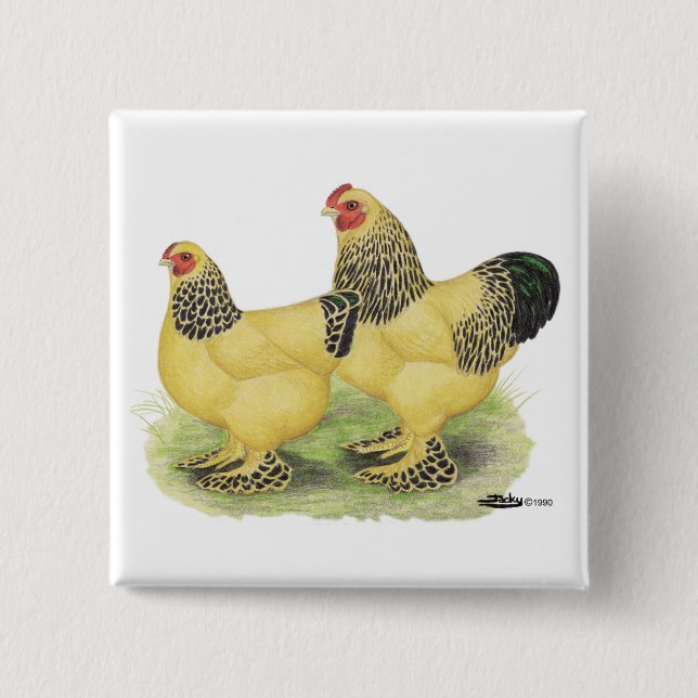 Brahma Buff Pair Pinback Button (Front)