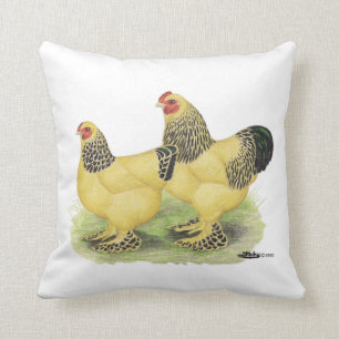 Brahma Buff Pair Throw Pillow