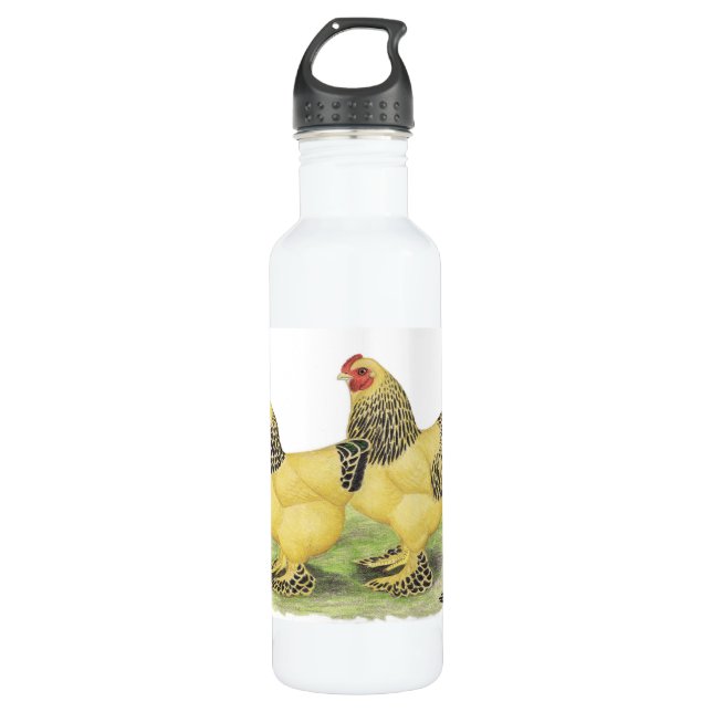 Brahma Buff Pair Water Bottle (Front)