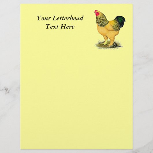 Brahma:  Buff Rooster (Front)