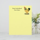 Brahma:  Buff Rooster (Standing Front)