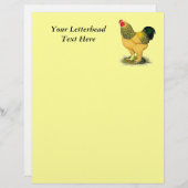 Brahma:  Buff Rooster (Front/Back)