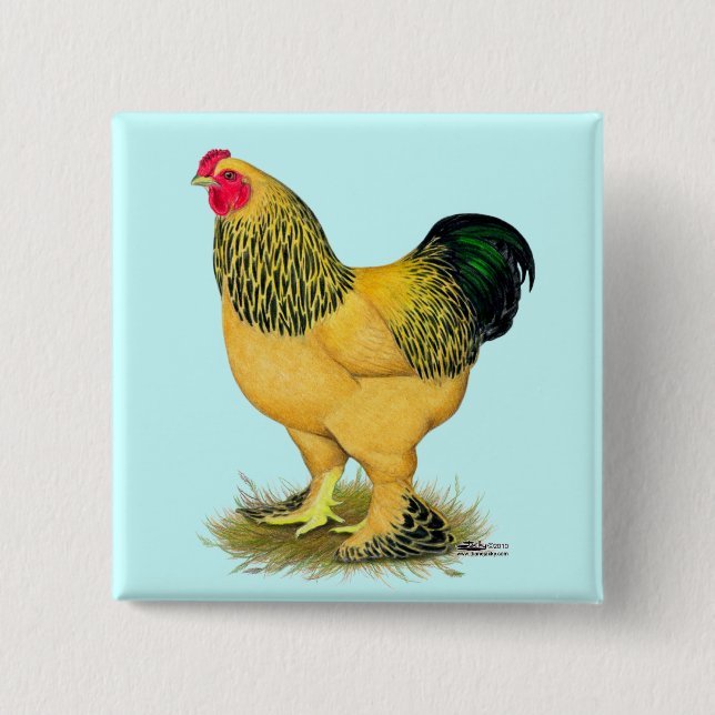 Brahma:  Buff Rooster Button (Front)