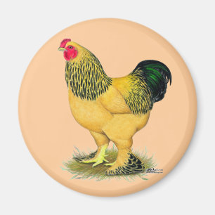 Brahma: Buff Rooster Magnet