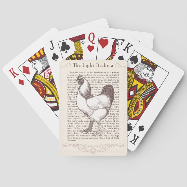 Brahma Chicken Breeder Enthusiast Vintage Farmer Poker Cards (Back)