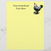 Brahma:  Dark Rooster (Front)