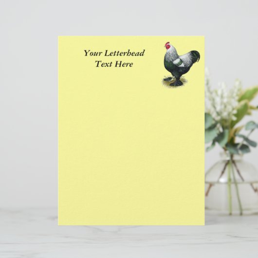 Brahma:  Dark Rooster (Standing Front)