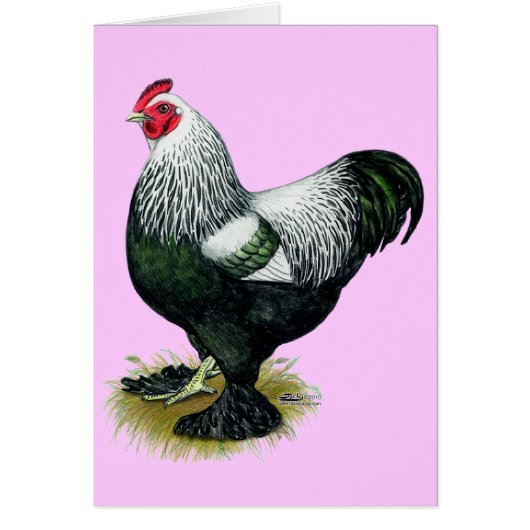 Brahma: Dark Rooster Cards (Front)