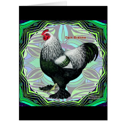 Brahma:  Fancy Dark Rooster Cards (Front)
