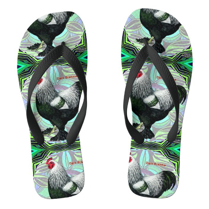 flip flops fancy