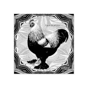 Brahma: Fancy Dark Rooster Rubber Stamp