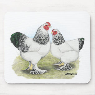 Brahma:  Light2 Mouse Pad