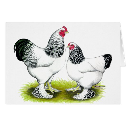 Brahma:  Light Cards (Front Horizontal)