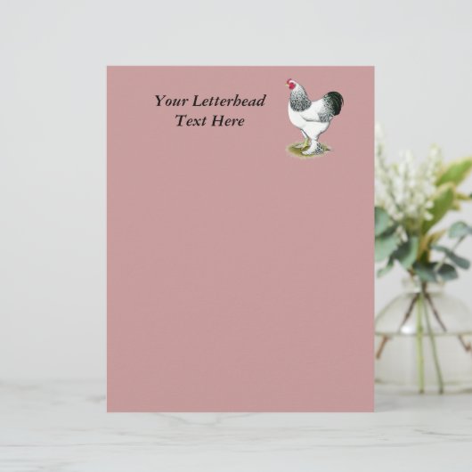 Brahma:  Light Rooster (Standing Front)