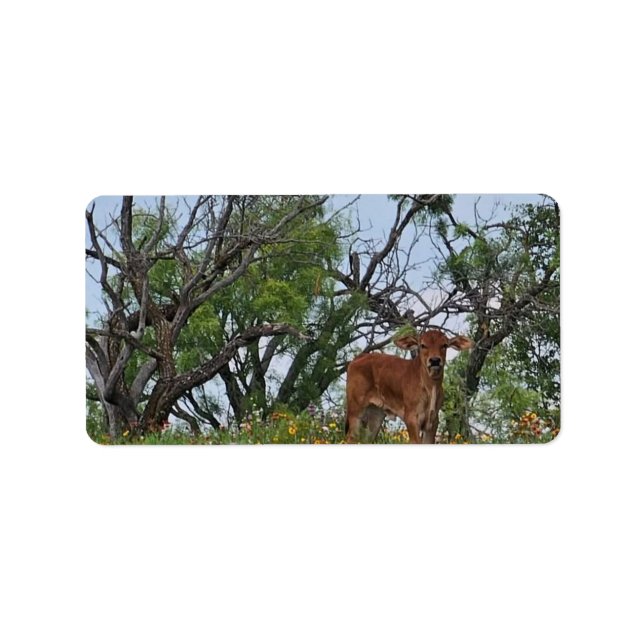 Brahman Calf in Wildflowers Label (Front)