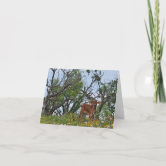 Brahman Calf in Wildflowers Letterpress Thank You Card