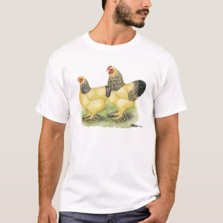 Brahmas:  Buff Bantams T-Shirt