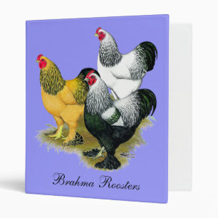 Brahmas Three Roosters 3 Ring Binder