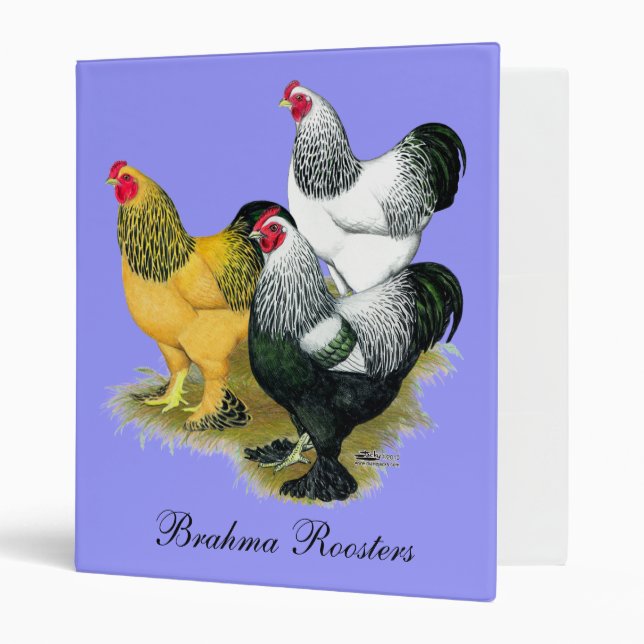 Brahmas Three Roosters 3 Ring Binder (Front/Inside)