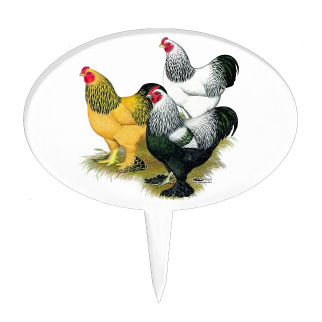 Brahmas Three Roosters Cake Topper (Front)