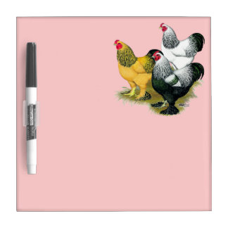 Brahmas Three Roosters Dry-Erase Board
