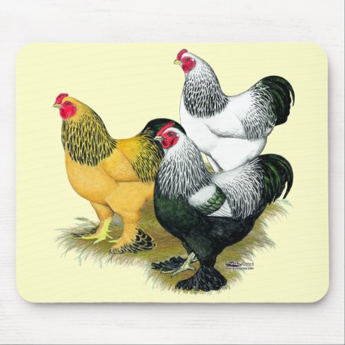 Brahmas Three Roosters Mouse Pad
