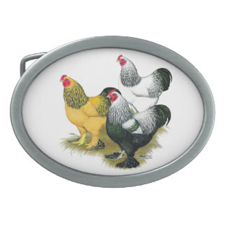 Brahmas Three Roosters Oval Belt Buckle