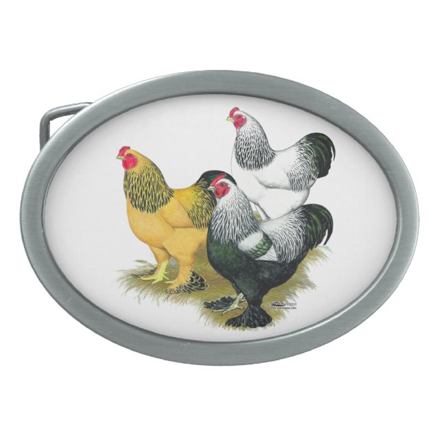Brahmas Three Roosters Oval Belt Buckle (Front)