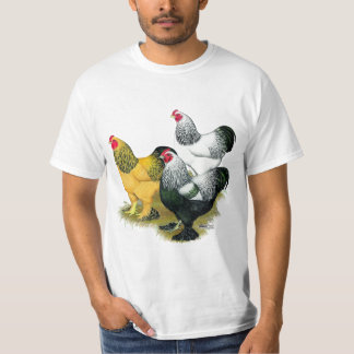 Brahmas Three Roosters T-Shirt