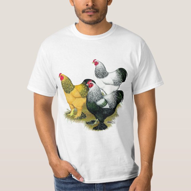 Brahmas Three Roosters T-Shirt (Front)