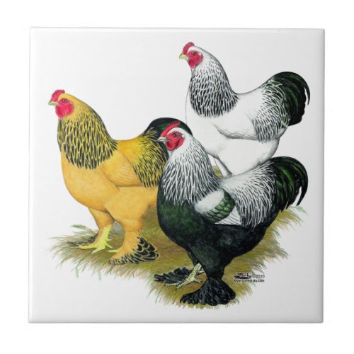 Brahmas Three Roosters Tile