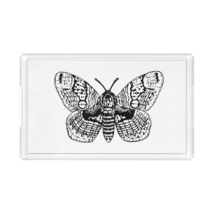 Brahmin moth drawing acrylic tray