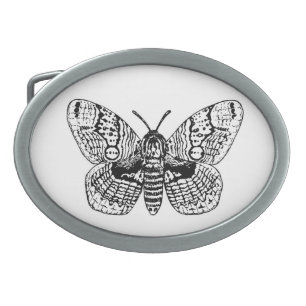 Brahmin moth drawing belt buckle