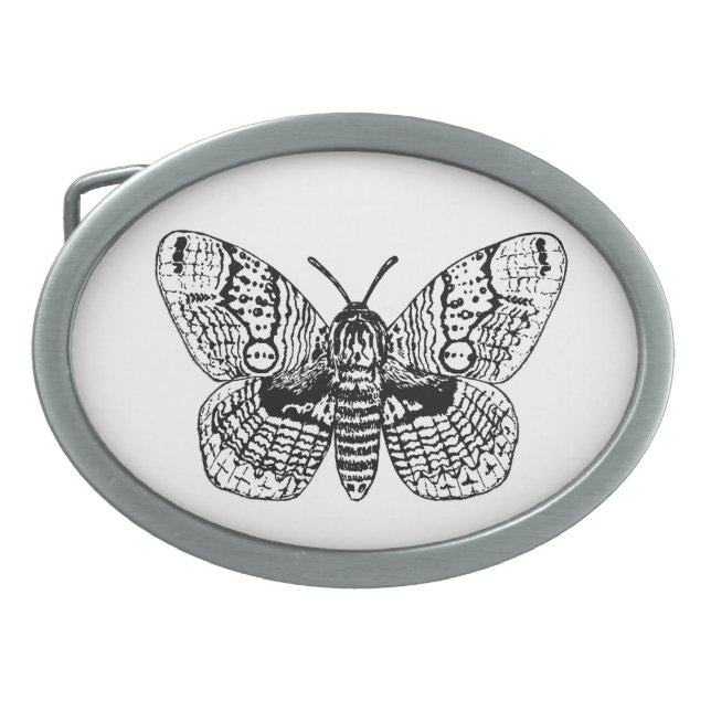 Brahmin moth drawing belt buckle (Front)
