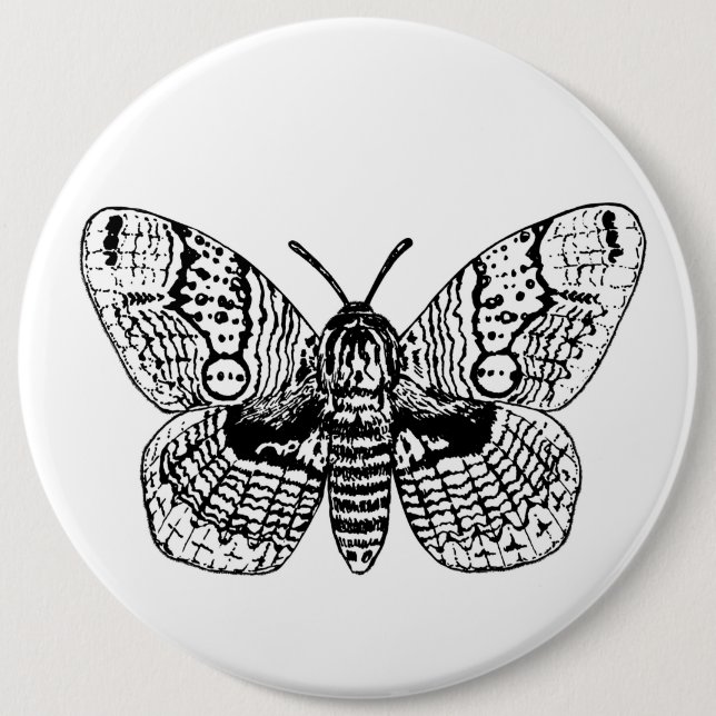 Brahmin moth drawing button (Front)