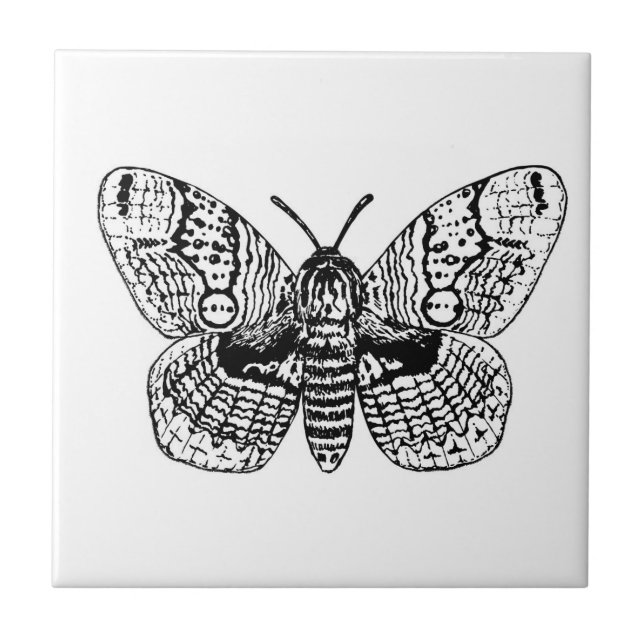 Brahmin moth drawing ceramic tile (Front)