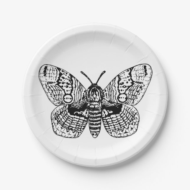 Brahmin moth drawing paper plates (Front)