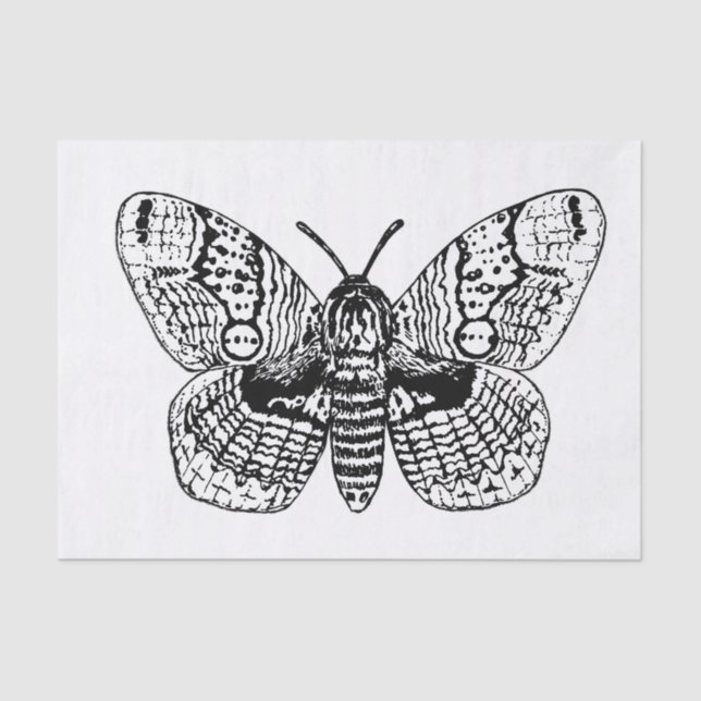 Brahmin moth drawing tissue paper (Front)