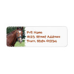 Braided Horse Mane Mailing Label