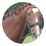 Braided Horse Mane Stickers